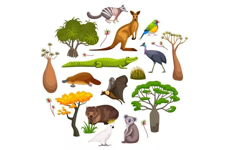 تنوع گونه‌های حیوانی و جانوران خطرناک 